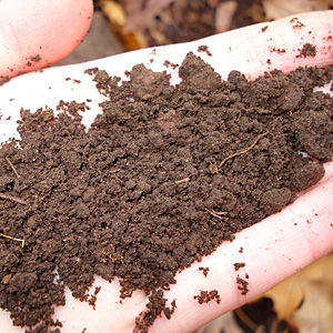 Garden Soil